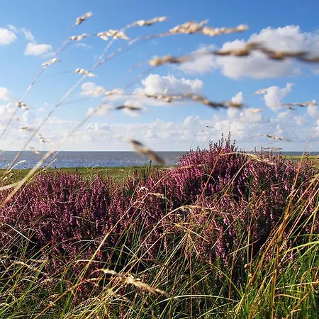 Nige Ooge 7 Lägenhet Cuxhaven